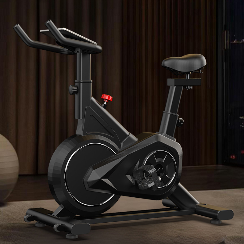 Intelligent Spinning Bike Home - Exercise Bike Magnetic Resistance recension och pris